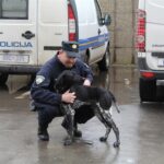 Foto Policijska uprava istarska - Duks opet uspješan u pronalasku droge