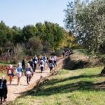 Foto Turistička zajednica općine Tar-Vabriga bevemo andemo priroda masline wine walk manifestacija gosti turisti