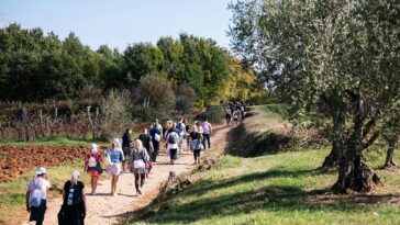 Foto Turistička zajednica općine Tar-Vabriga bevemo andemo priroda masline wine walk manifestacija gosti turisti