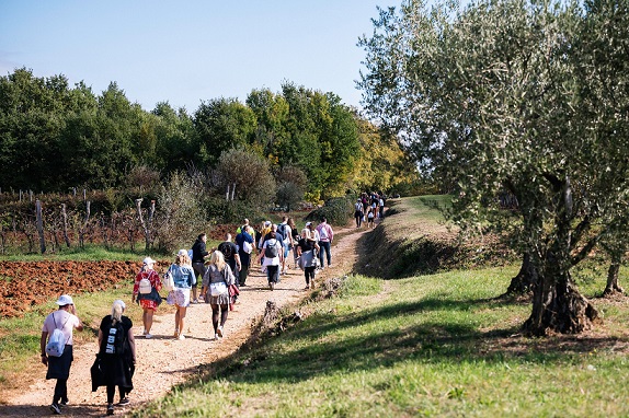 Foto Turistička zajednica općine Tar-Vabriga bevemo andemo priroda masline wine walk manifestacija gosti turisti