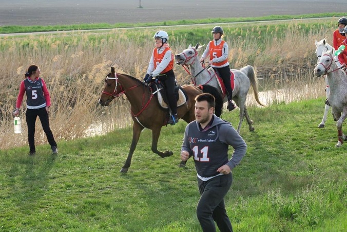 Konjički klub Istra Barban - Foto TZ Barban