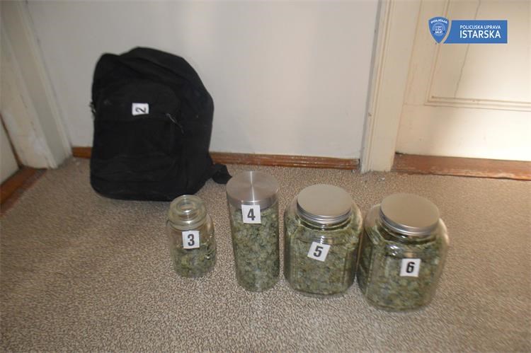 Foto Policijska uprava istarska  droga marihuana konplja diler