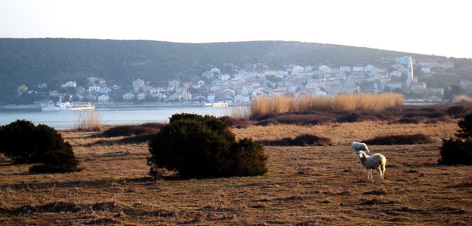 Unije - Foto Turistička zajednica Malog Lošinja