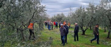 Nacionalni šampiont u rezidbi malina u Taru 2023.