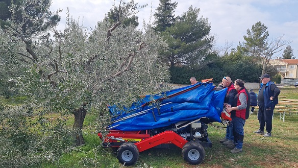 Uređaj za branje maslina u obliku kišobrana prezentiran u Taru