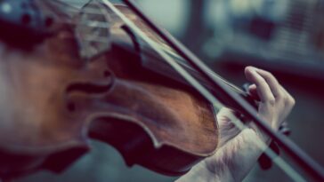 Ilustracija - Foto Niek Verlaan za Pixabay violina