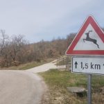 Foto Policijska uprava istarska - Ilustracija