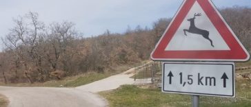 Foto Policijska uprava istarska - Ilustracija