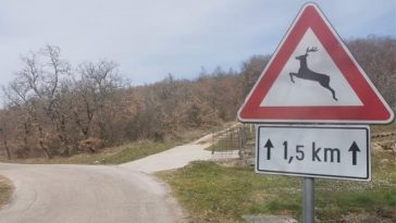 Foto Policijska uprava istarska - Ilustracija