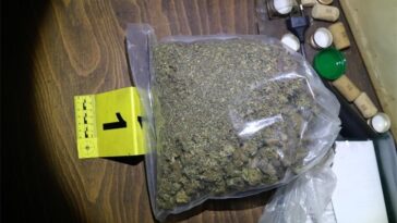 Foto Policijska uprava istarska droga marihuana