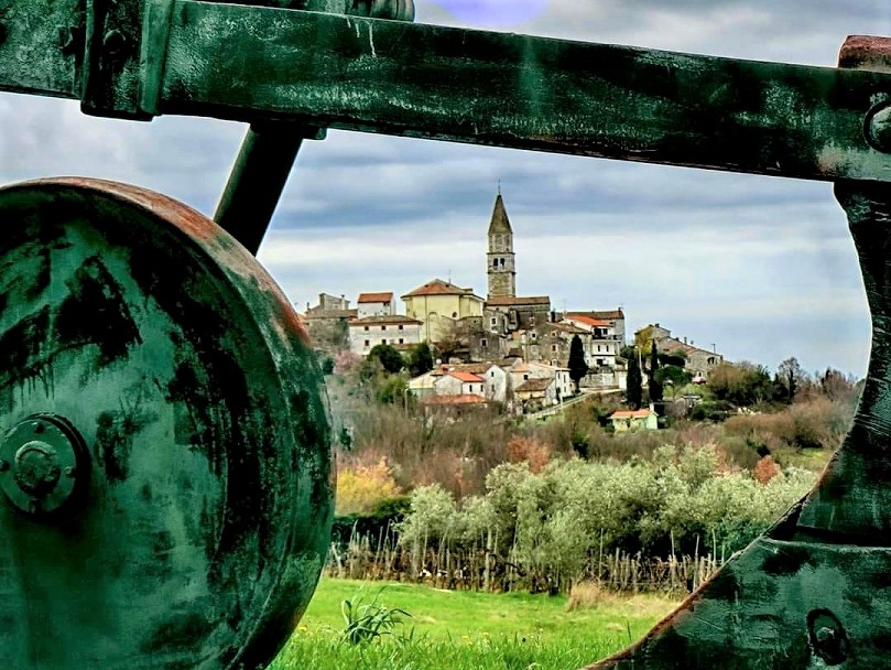 Foto Marinela Žiković - Višnjan