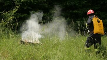 Foto - Ilustracija Policijska uprava istarska požar otvoreni prostor trava