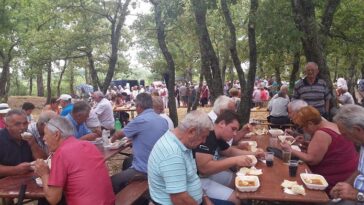 Rušnjak - Foto Grad Poreč