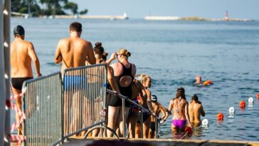 Foto Manuel Paljuh - Porečki delfin