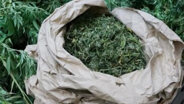 Foto Policijska uprava istarska