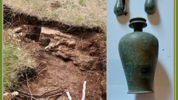 © Zavičajni muzej Poreštine - Museo del territorio parentino, Poreč