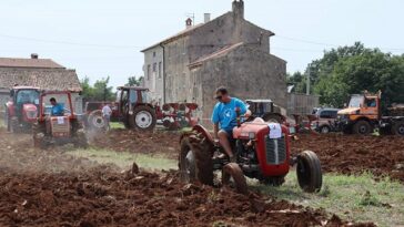 Istarsko natjecanje u oranju - Foto Bookaleta - Davor Šišović traktor