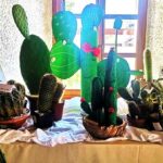Foto TZ Žminj Arhiv kaktusi bodljikavi dani
