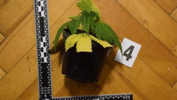 Foto Policijska uprava istarska