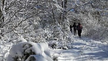 Ćićarija (Orljak) by Goran Kovačević / Istramet