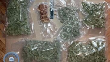 Foto Policijska uprava istarska keksi droga marihuana