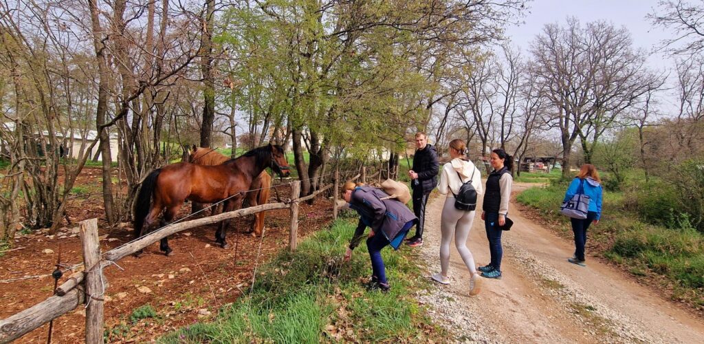 Fotografije by Monica Marich i TZO Marčana