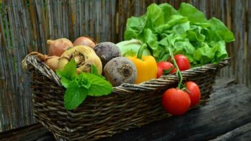 Foto congerdesign za Pixabay povrće zdrava hrana