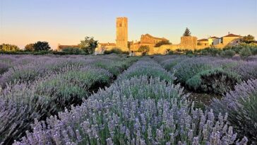 Foto HelloIstria - Sveti Lovreč