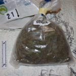 Foto Policijska uprava istarska - Pronašli marihuanu u Rovinju