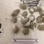 Foto Policijska uprava istarska - Pronašli marihuanu u Rovinju