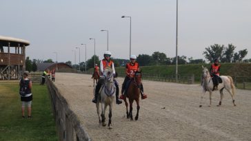 FOTO kONJIČKI KLUB ISTRA