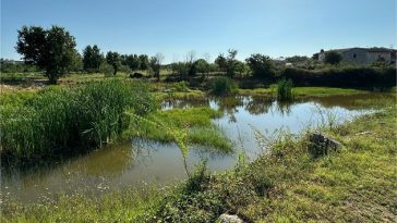 lokva poreč pojilišta životinje