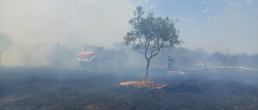 Foto Javna vatrogasna postrjba Rovinj - Požar kod Bala 13-7-2024