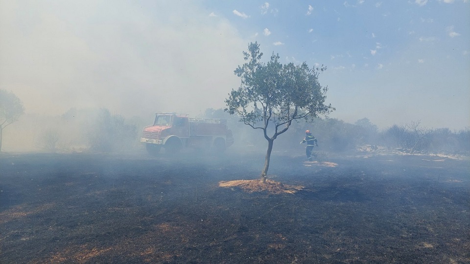 Foto Javna vatrogasna postrjba Rovinj - Požar kod Bala 13-7-2024