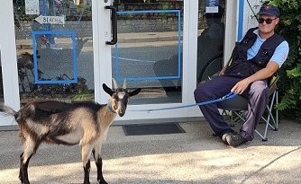 Foto Udruga za zaštitu životinja SOS Šape Poreč