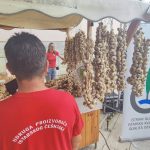 češnjak poreč tanja kocijančić festival sajam