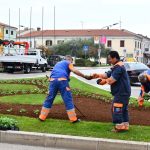Foto Usluga Poreč - Sadnja na Trgu Joakima Rakovca - Cimarelu