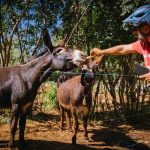 Foto Tursitička zajednica Kaštelir-Labinci - Gourmet-E-Bike