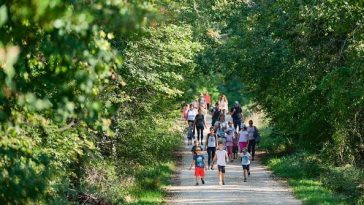 Šuma Kontija poziva u nedjelju na edukativno druženje - Foto TZ Vrsar
