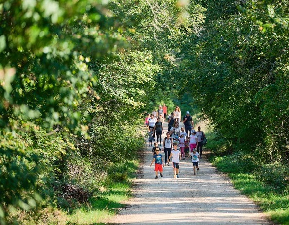 Šuma Kontija poziva u nedjelju na edukativno druženje - Foto TZ Vrsar