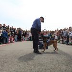 pas droga policija dan otvorenih vrata