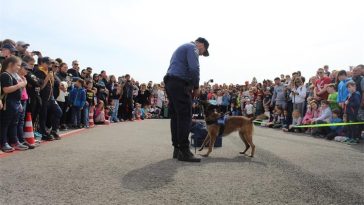 pas droga policija dan otvorenih vrata