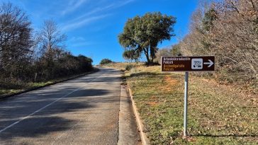 Arheološki lokalitet Peličeti 4 mačrčana