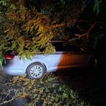 Foto DVD Lampo Tar-Vabriga - intervencije u Frati i Červar Portu