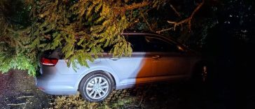 Foto DVD Lampo Tar-Vabriga - intervencije u Frati i Červar Portu