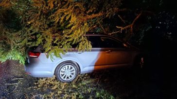 Foto DVD Lampo Tar-Vabriga - intervencije u Frati i Červar Portu