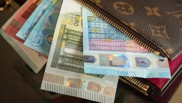 novčanik ženski novac euri novčanice keš krađa lopov