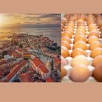 Foto Grad Poreč - Pixabay - Tinejdžerske psine u Poreču izmakle kontroli – gađaju ljude i aute jajima i blatom