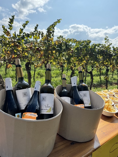 Pješačenje Ala šu - Kaštelir 28-9-2025 vino vinograd