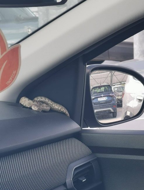 Foto Vatrogaci Umag